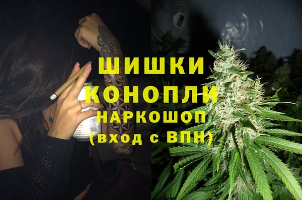 ПСИЛОЦИБИНОВЫЕ ГРИБЫ Алексеевка